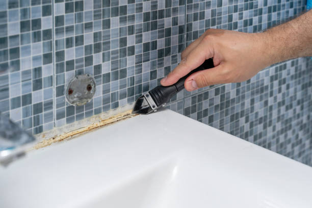 Best Same-Day Mold Removal  in Miami, FL