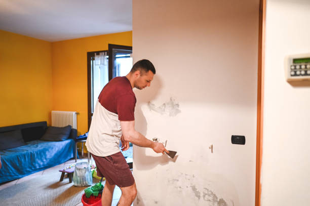 Best Mold Testing  in Miami, FL